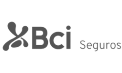 Bci_logo_ags2 (250 x 150 px)
